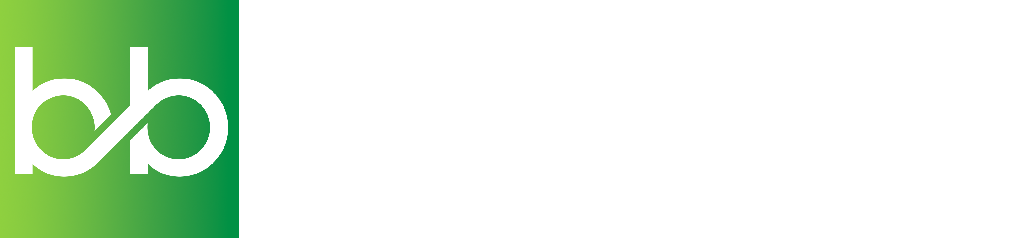 BB Logo White